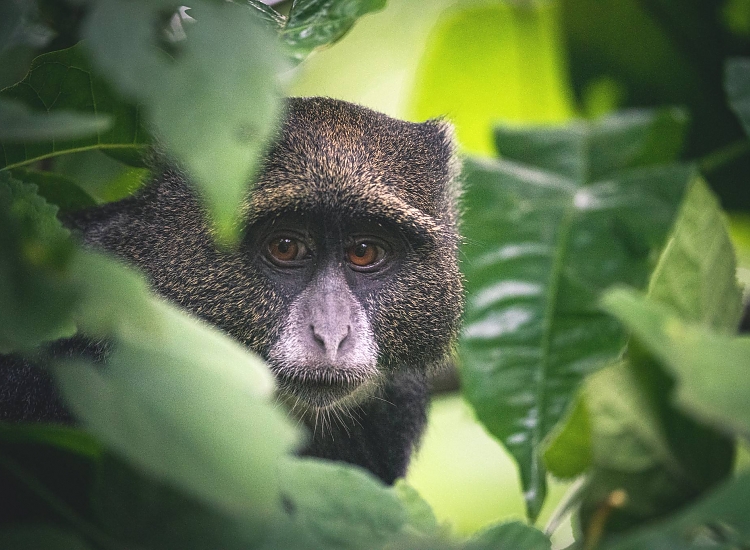Arusha National Park