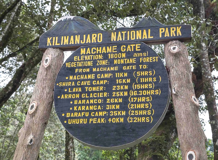 Trekking Mount Kilimanjaro forest paths
