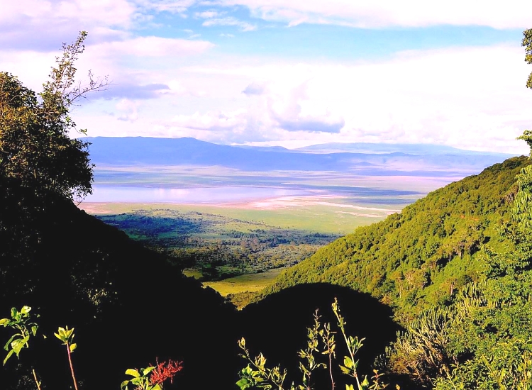 Ngorongoro Crater