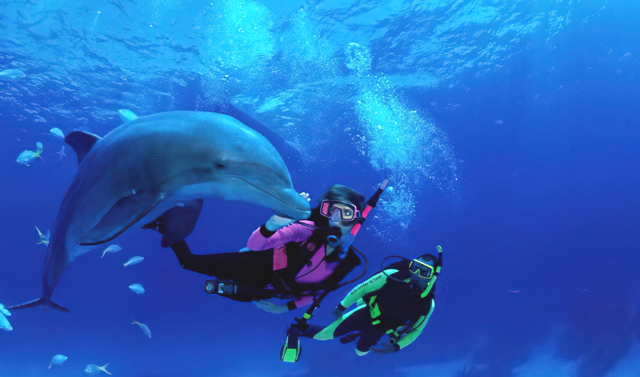 Scuba Diving in Zanzibar
