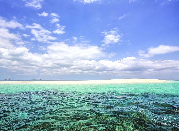 Beautiful Zanzibar Coastline
