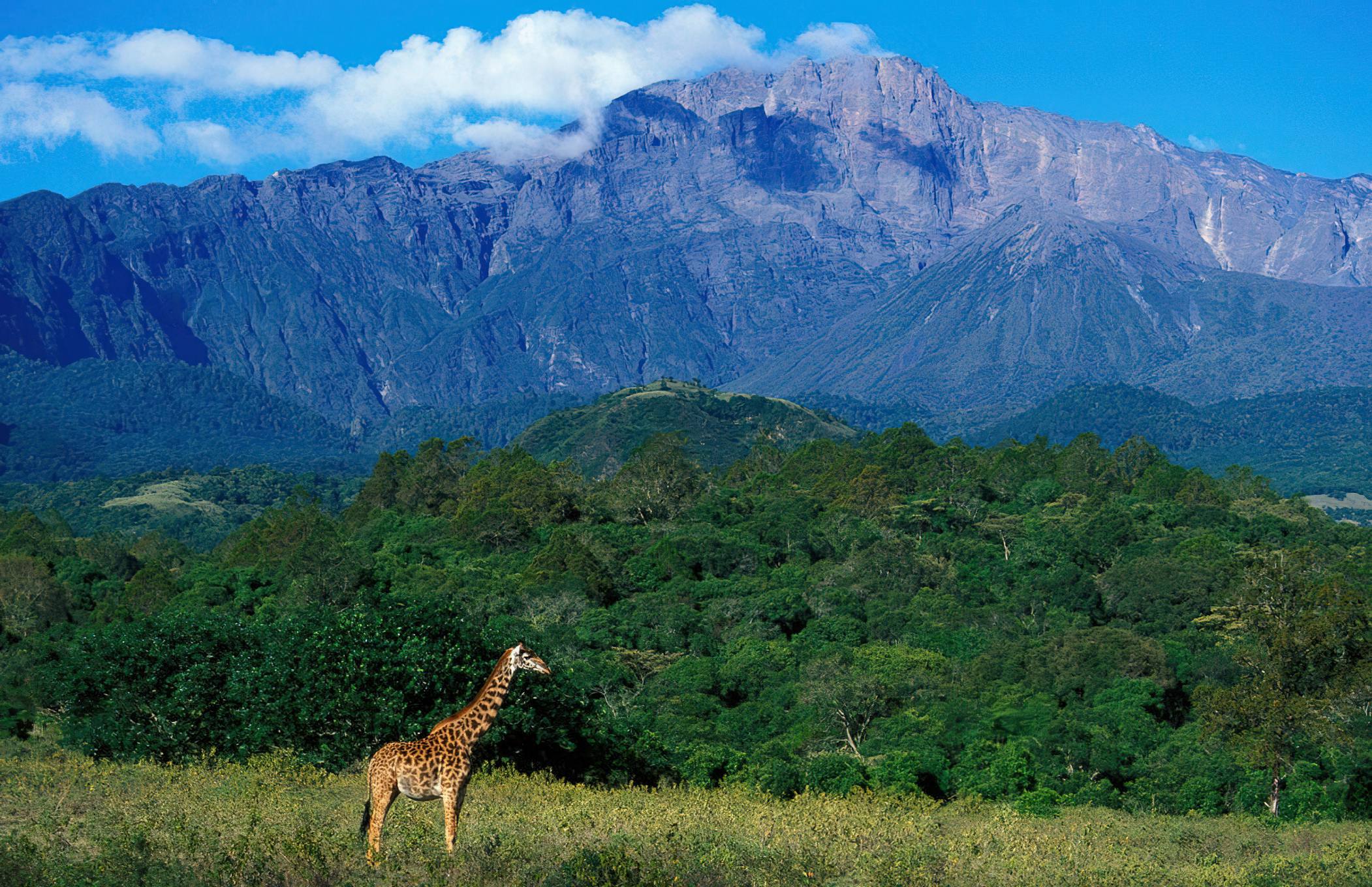 Spectacular sunrise views from the rocky volcanic crater ridge of Mount Meru