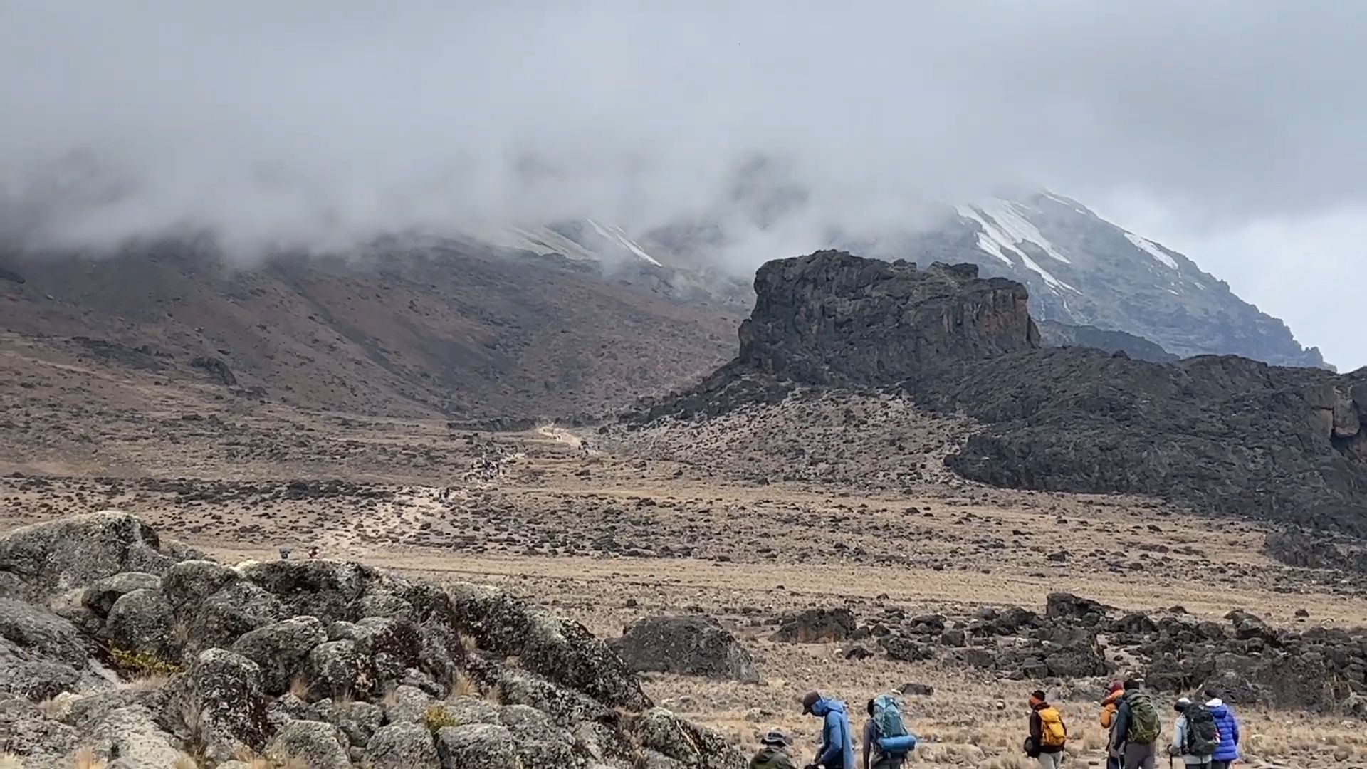 Kilimanjaro