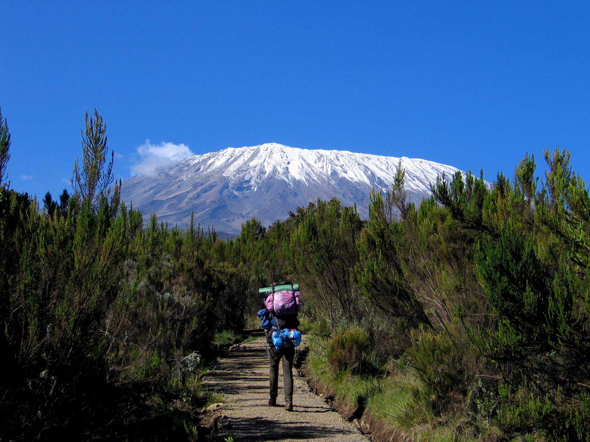 Kilimanjaro Sightseeing 60 Photos Morilly