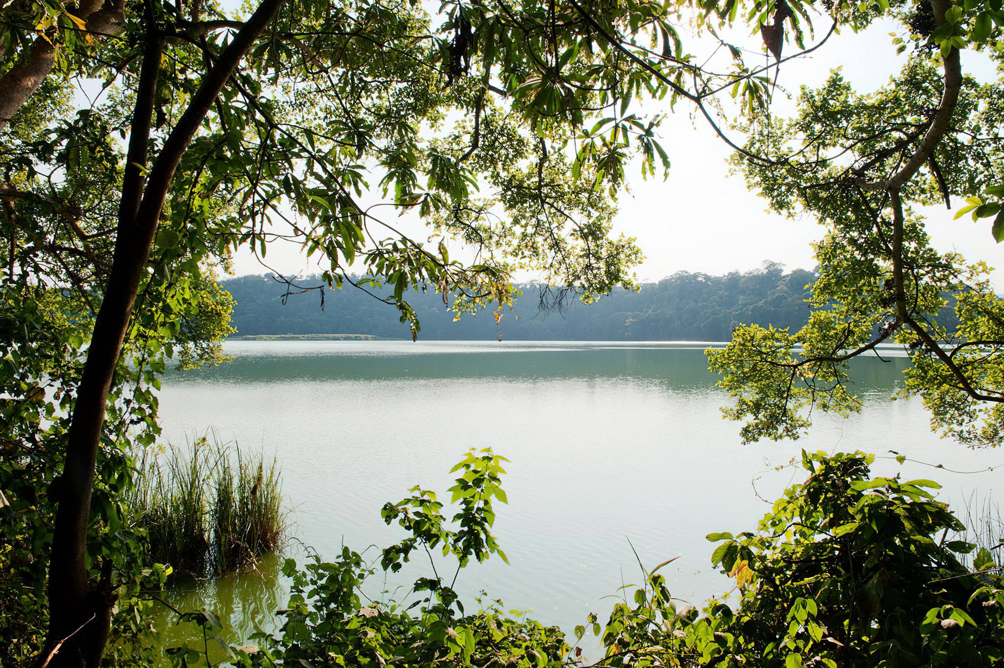 Lake Duluti