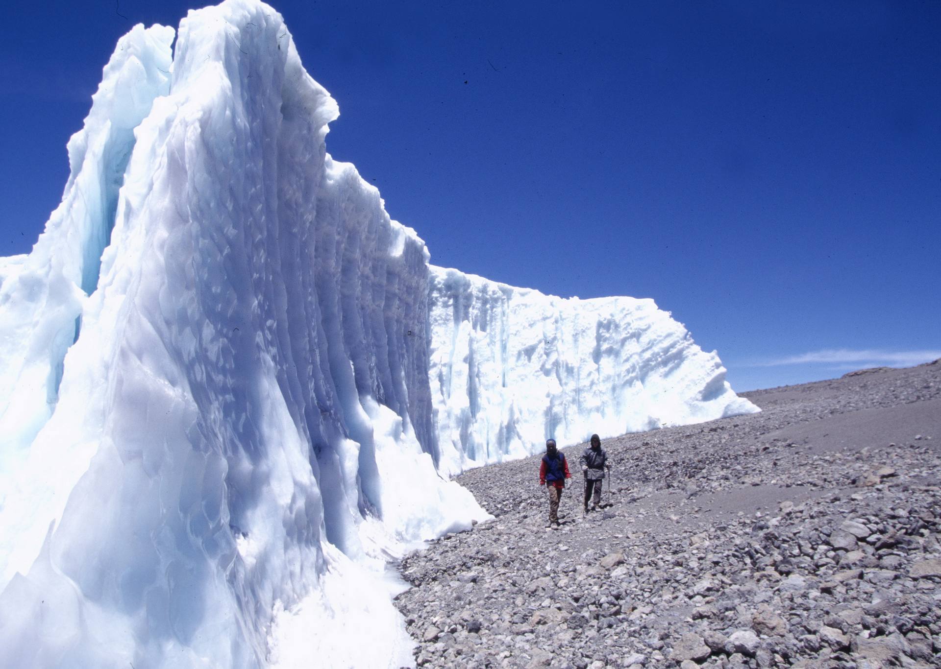Lemosho Route Kilimanjaro