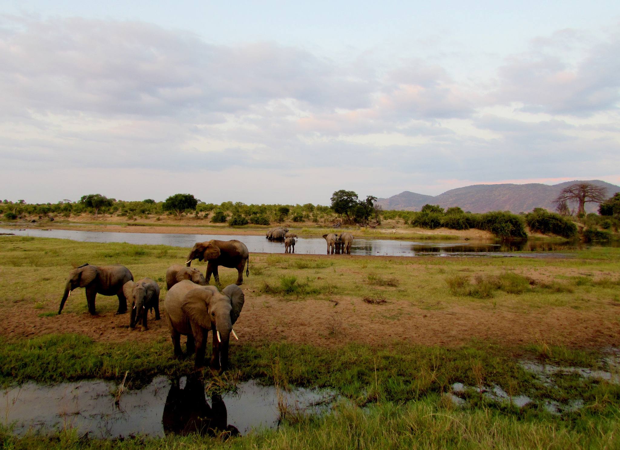 Ruaha National Park