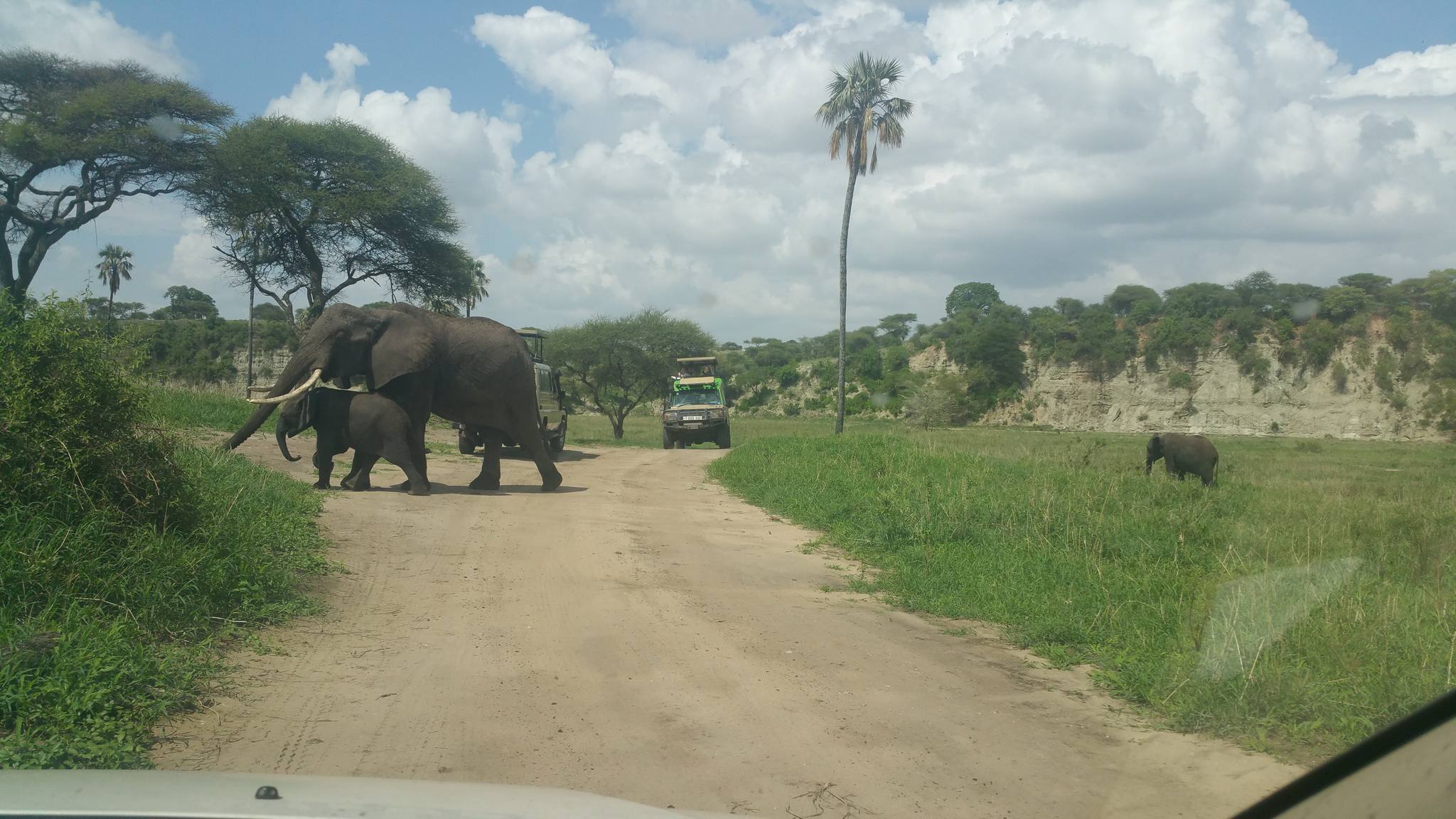 Tarangire National Park
